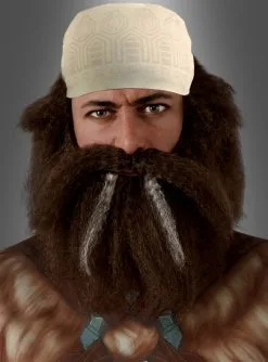 Dwalin Bartset Aus Der Hobbit