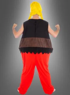 Verleihnix Kostüm Aus Asterix -Halloween-Cosplay Verkaufsgeschäft 16 c4374 pic3