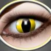Monatslinsen Yellow Cat Gelb