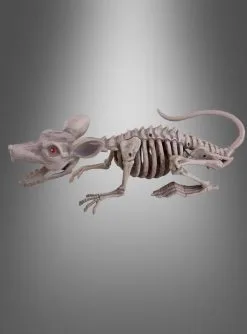 Große Ratte Skelett Mit LED Augen 38cm