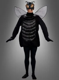 Riesenfliege Lästige Mücke Mit Maske