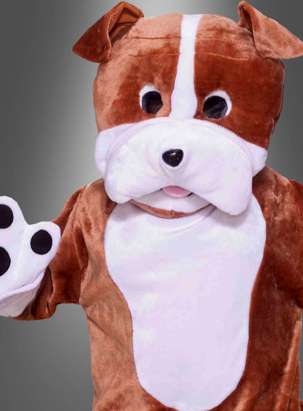 Hundekostüm Bulldogge Maskottchen 2 Hundekostüm Bulldogge Maskottchen – Bild 2