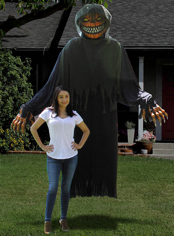 Horror Kürbis Kostüm Oder Deko Ca. 240cm 2 Horror Kürbis Kostüm Oder Deko Ca. 240cm – Bild 2